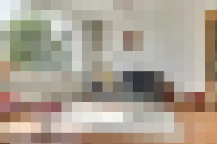 Anna van Hensbeeksingel 244 Gouda thumbnail 18