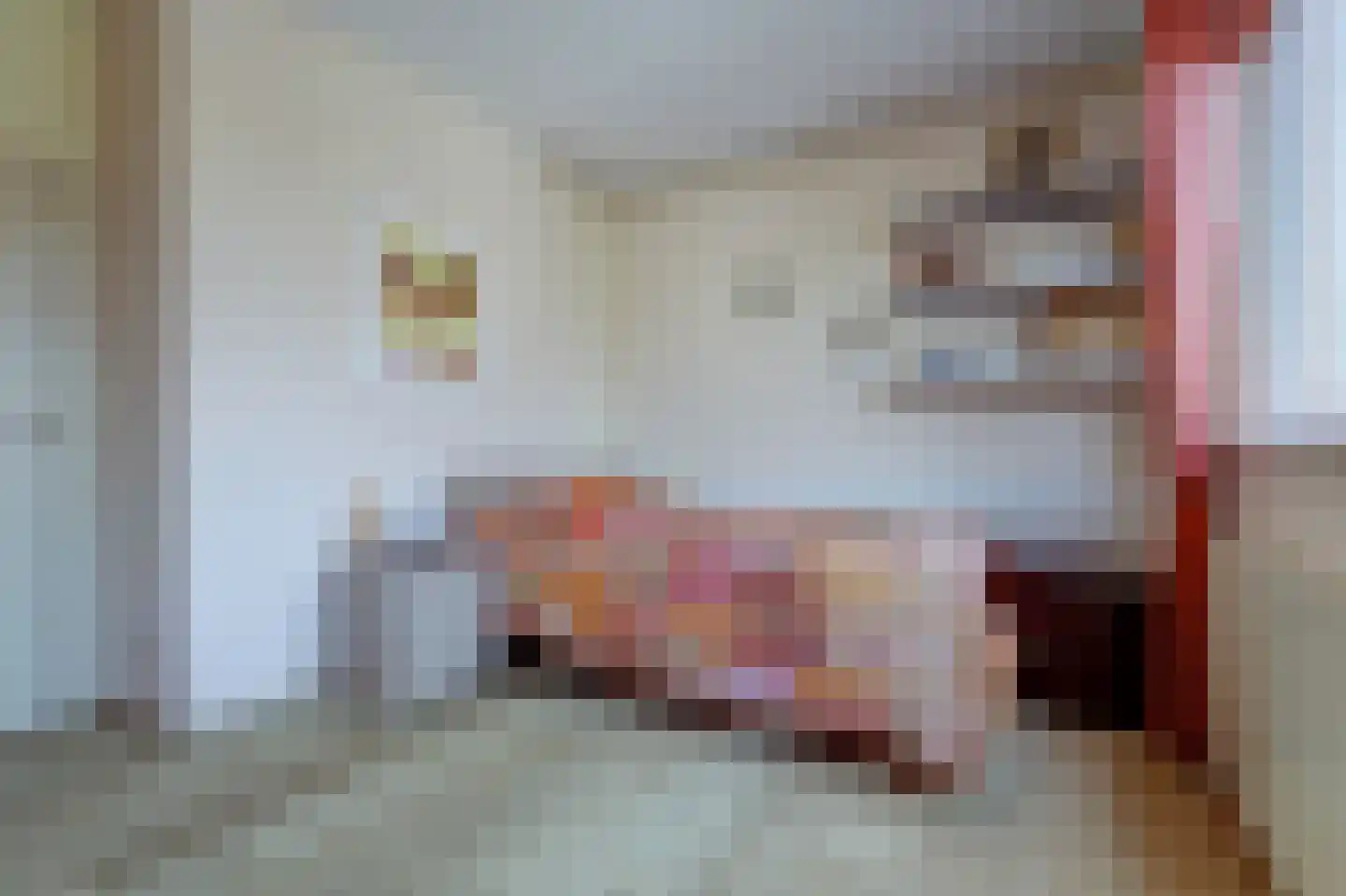 Anna van Hensbeeksingel 246 Gouda thumbnail 23