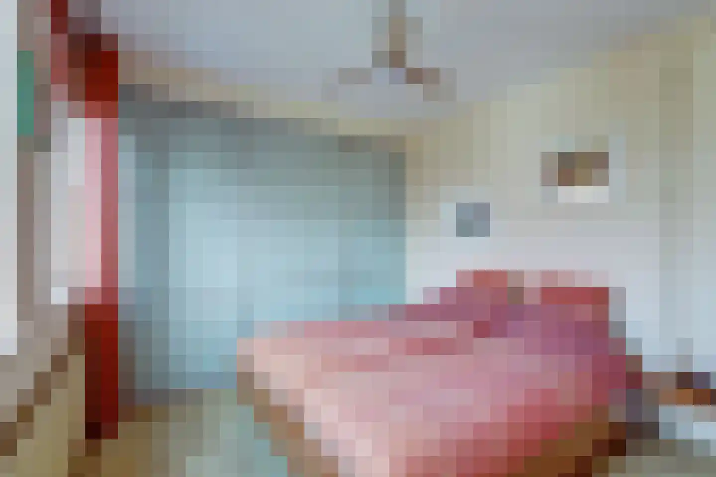 Anna van Hensbeeksingel 246 Gouda thumbnail 25