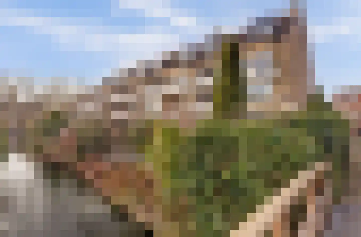 Anna van Hensbeeksingel 246 Gouda thumbnail 34