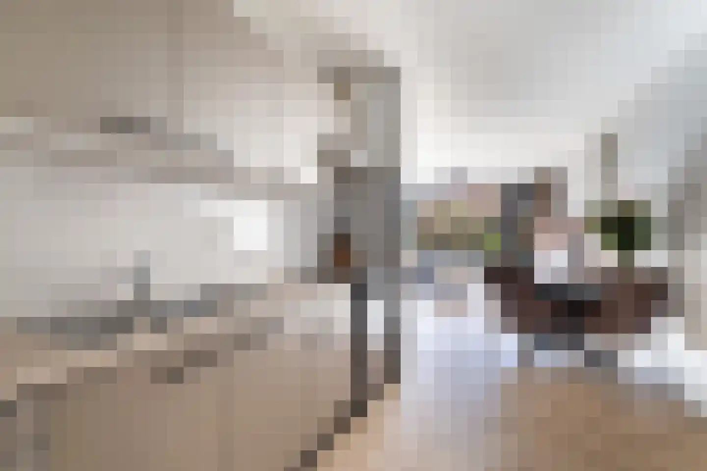 Anna van Hensbeeksingel 256 Gouda thumbnail 10