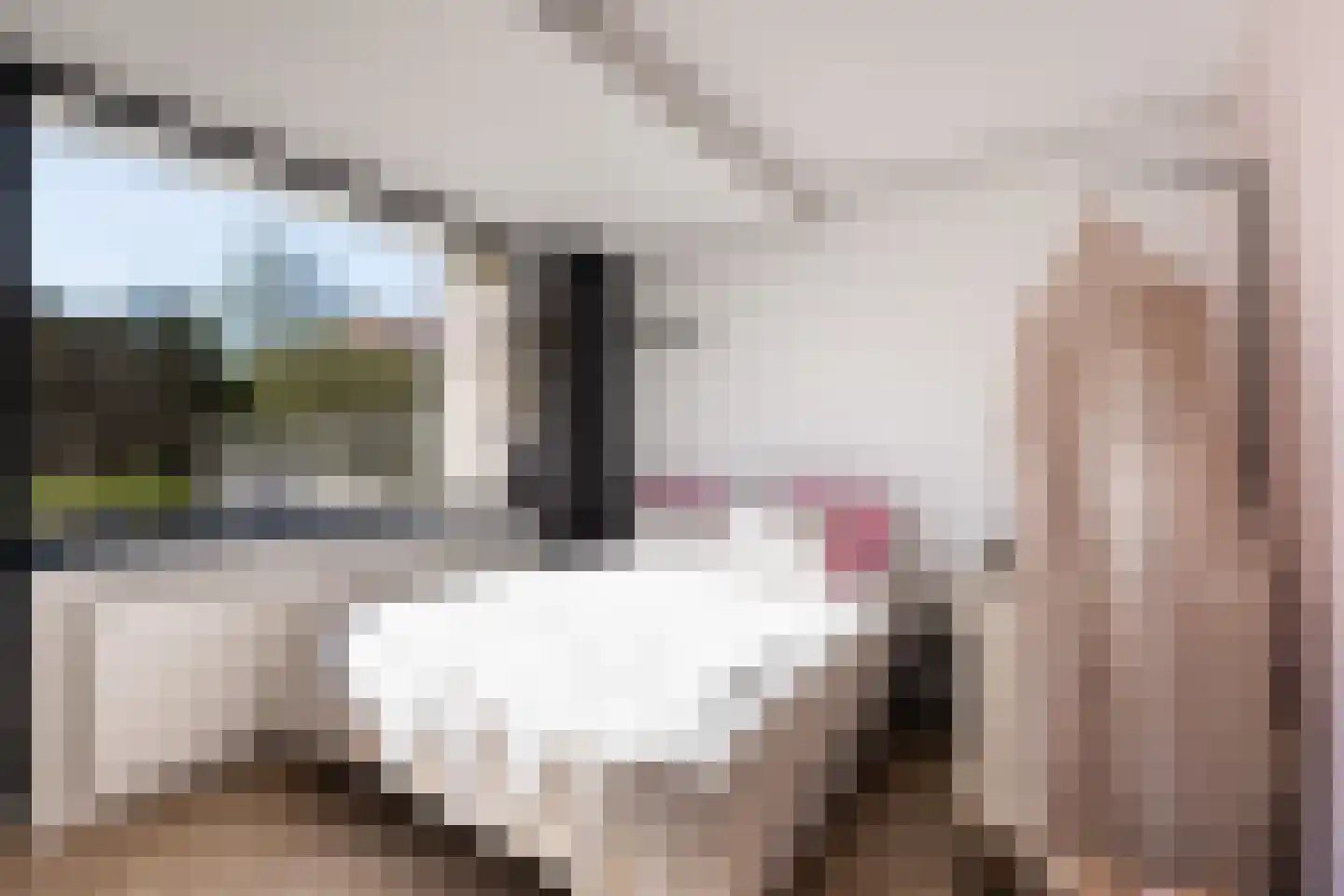Anna van Hensbeeksingel 256 Gouda thumbnail 12