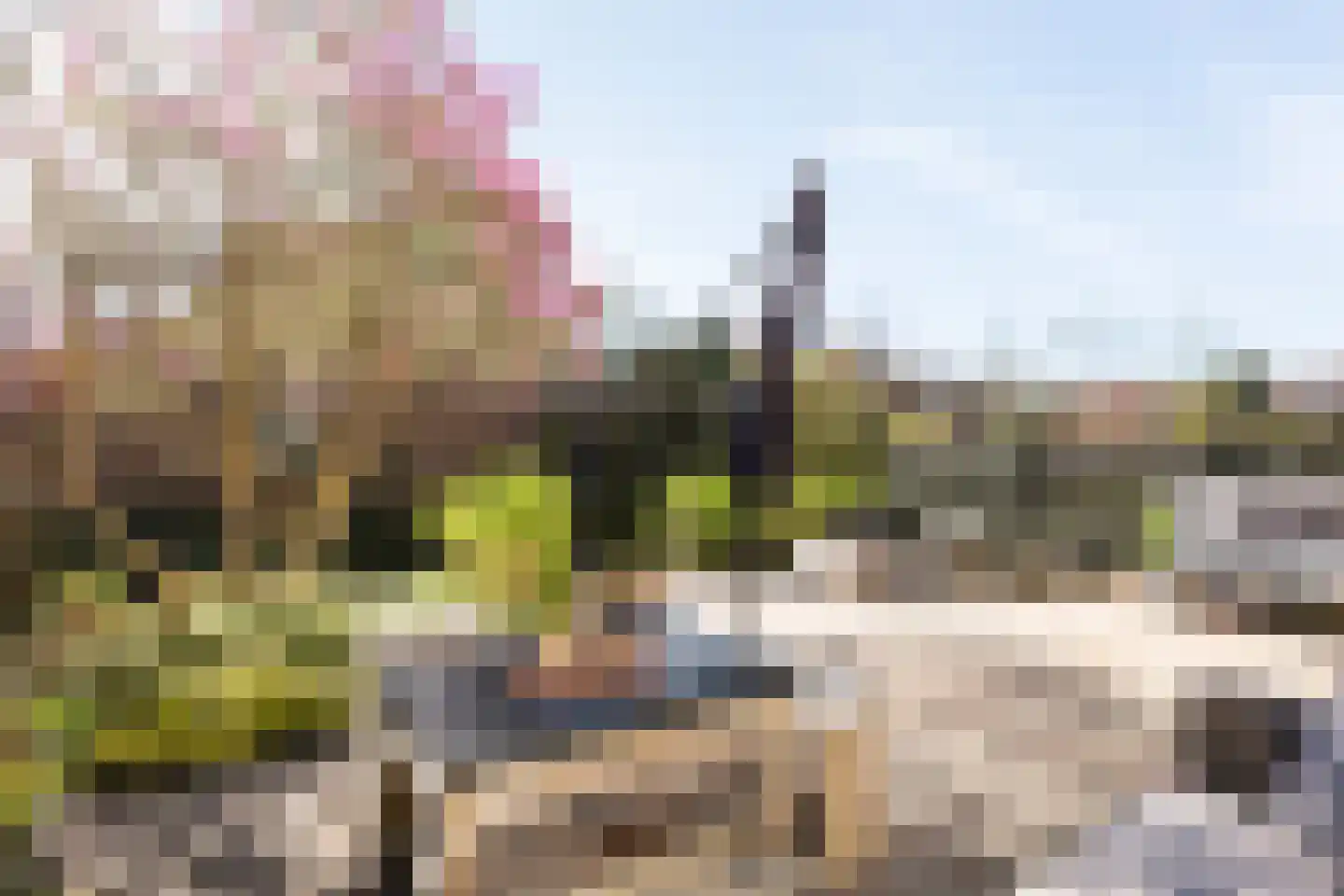 Anna van Hensbeeksingel 256 Gouda thumbnail 17
