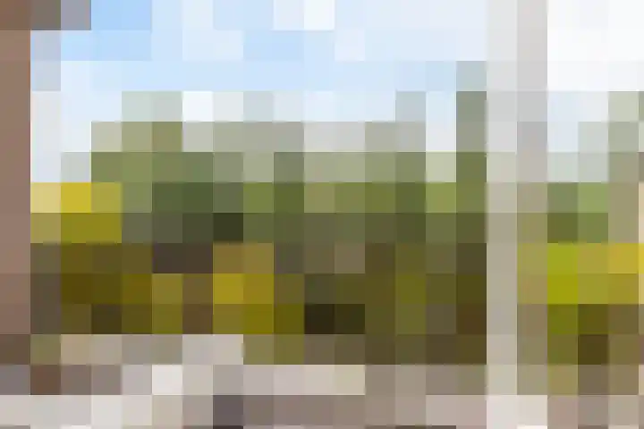 Anna van Hensbeeksingel 257 Gouda thumbnail 19