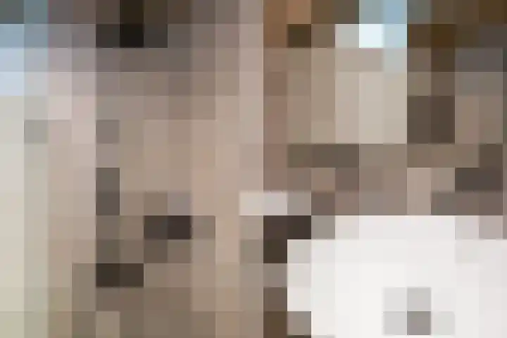 Anna van Hensbeeksingel 257 Gouda thumbnail 32
