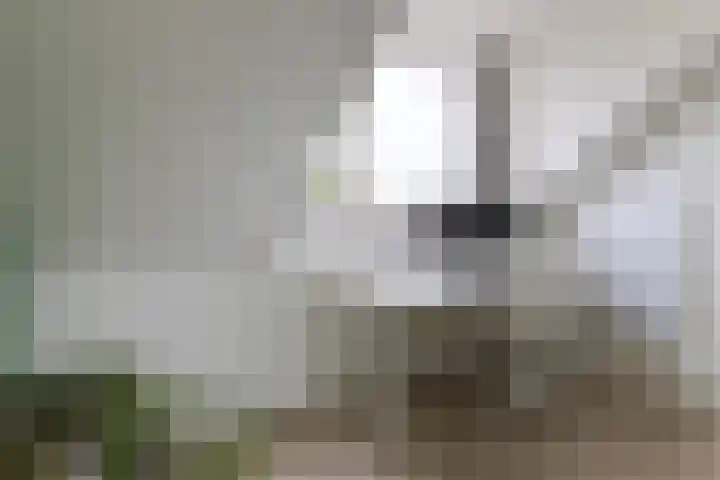Anna van Hensbeeksingel 257 Gouda thumbnail 36