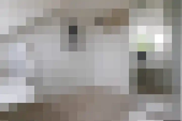 Anna van Hensbeeksingel 257 Gouda thumbnail 37