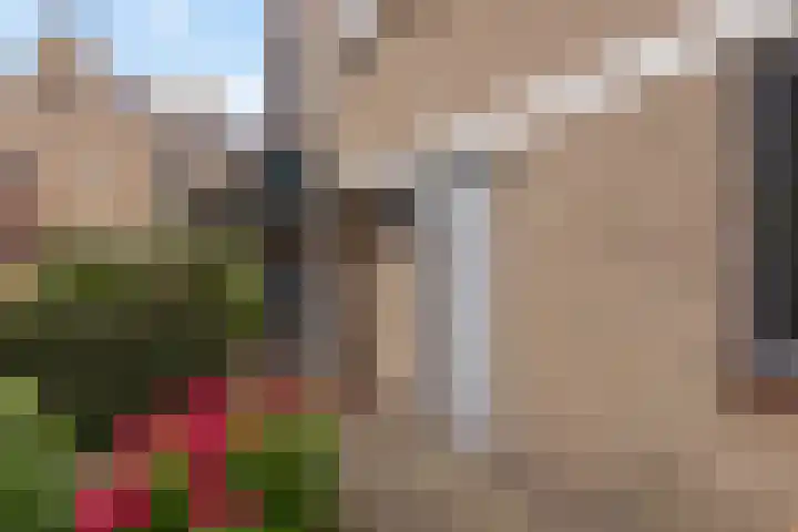 Anna van Hensbeeksingel 257 Gouda thumbnail 47