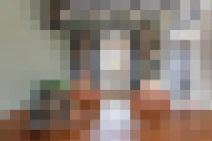 Anna van Hensbeeksingel 268 Gouda thumbnail 17