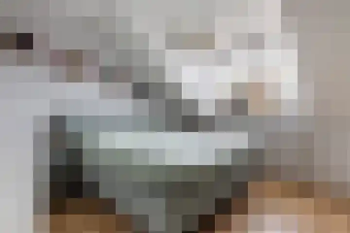 Anna van Hensbeeksingel 268 Gouda thumbnail 25