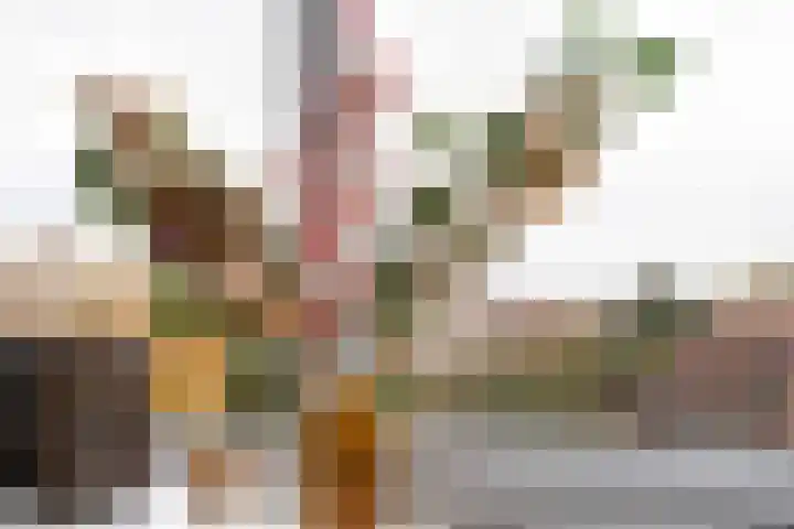 Anna van Hensbeeksingel 268 Gouda thumbnail 26