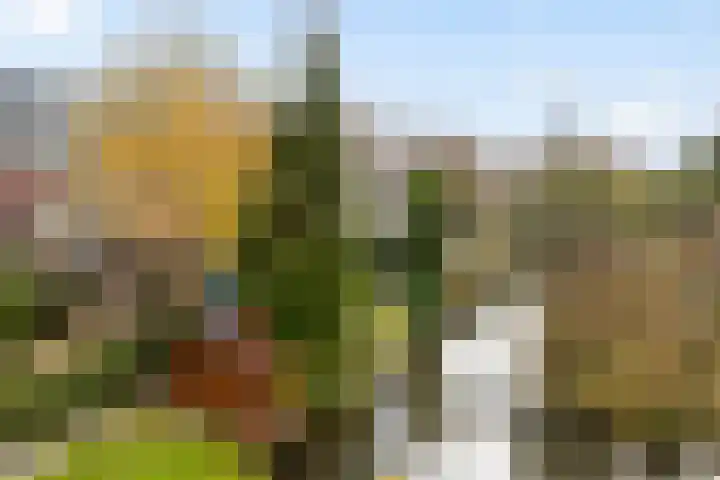 Anna van Hensbeeksingel 268 Gouda thumbnail 36