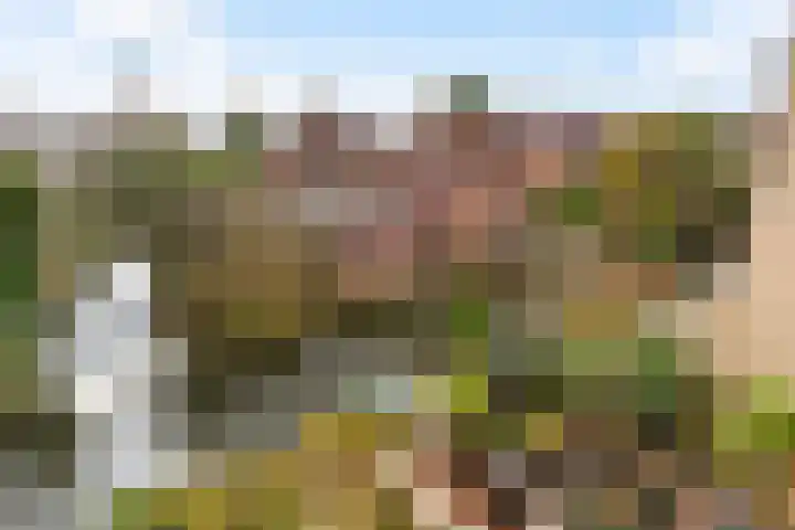 Anna van Hensbeeksingel 268 Gouda thumbnail 37
