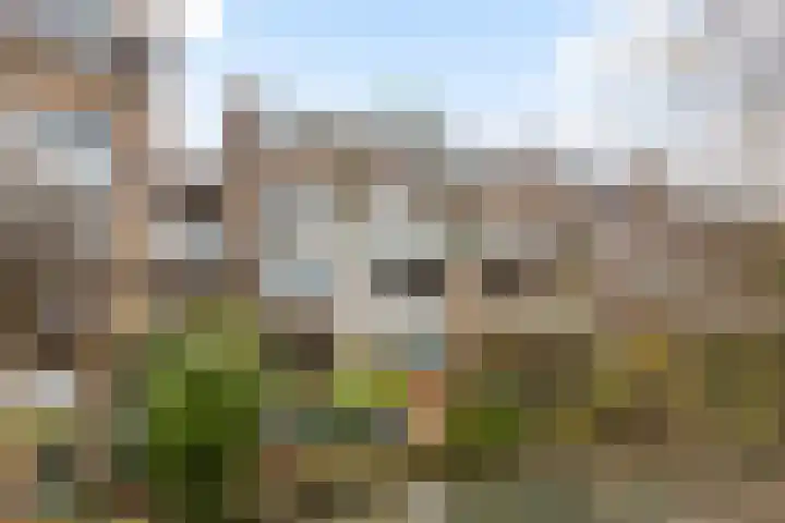 Anna van Hensbeeksingel 268 Gouda thumbnail 41