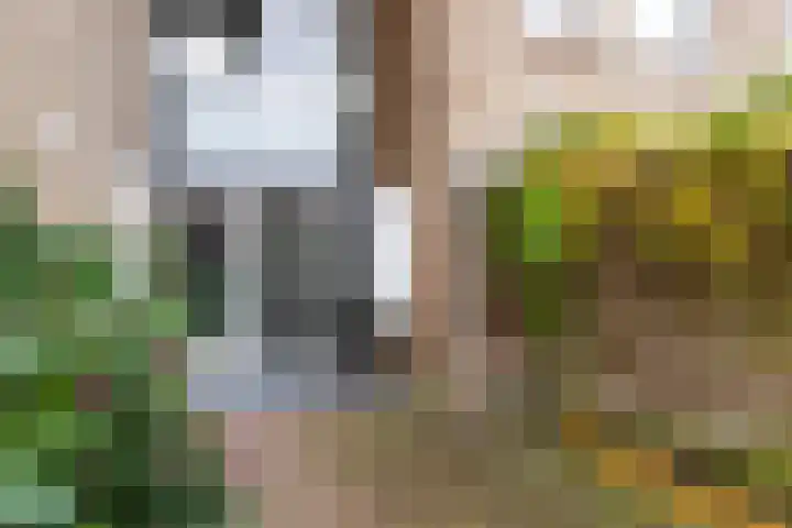 Anna van Hensbeeksingel 268 Gouda thumbnail 6