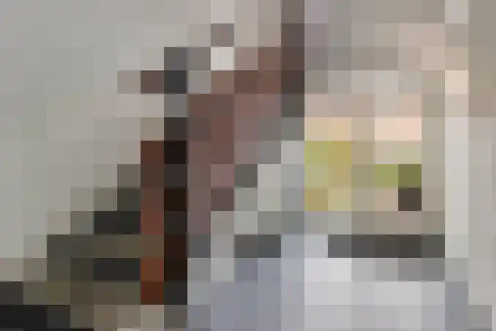 Anna van Hensbeeksingel 268 Gouda thumbnail 7