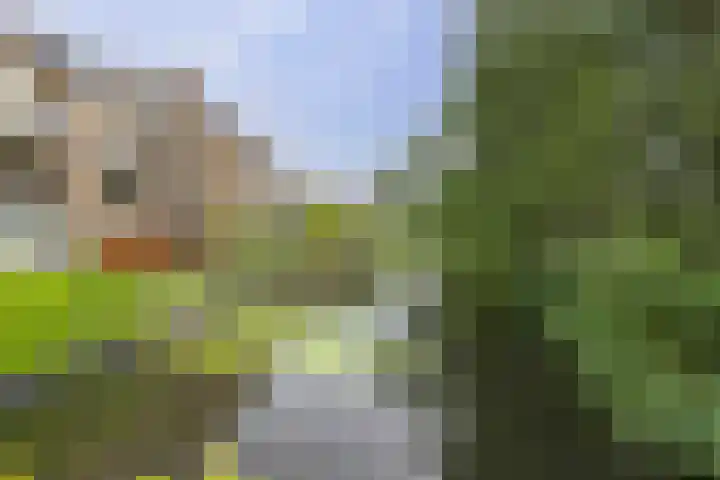 Anna van Hensbeeksingel 277 Gouda thumbnail 22