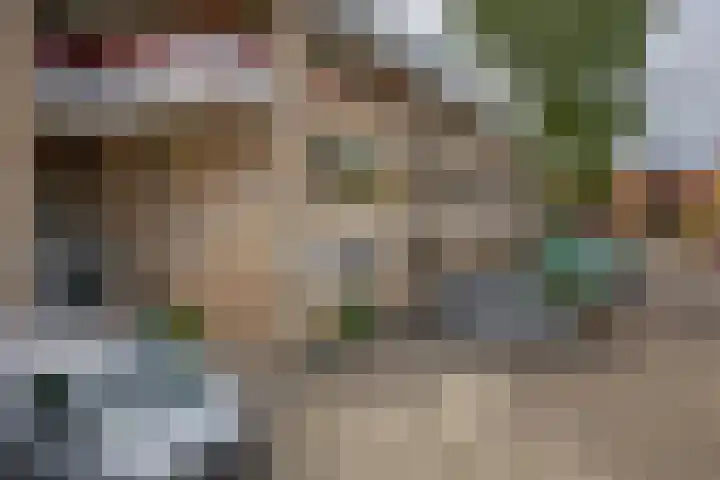 Anna van Hensbeeksingel 323 Gouda thumbnail 23