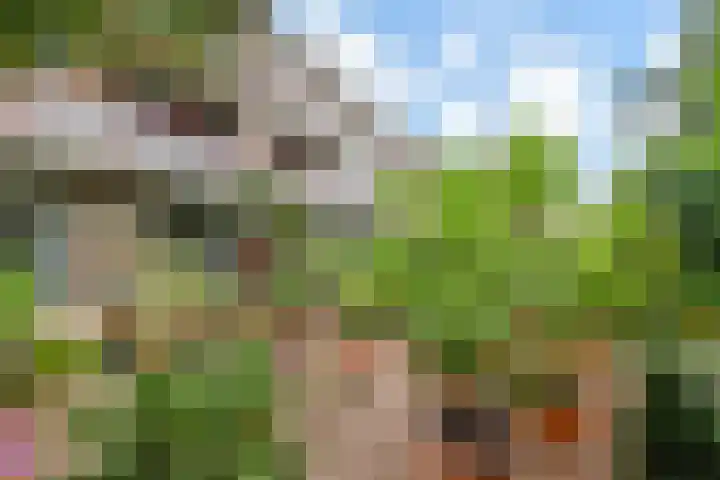 Anna van Hensbeeksingel 351 Gouda thumbnail 33