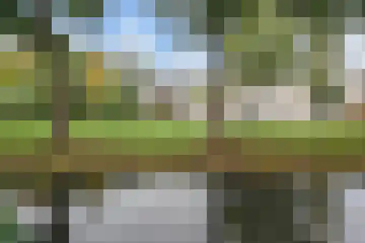 Anna van Hensbeeksingel 351 Gouda thumbnail 35