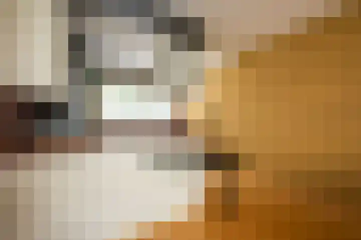 Anna van Hensbeeksingel 377 Gouda thumbnail 23