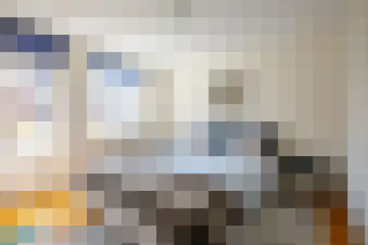 Anna van Hensbeeksingel 377 Gouda thumbnail 35