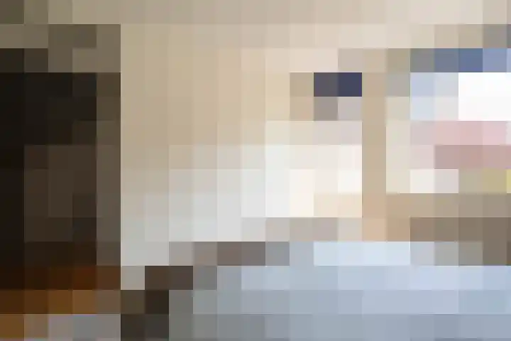 Anna van Hensbeeksingel 377 Gouda thumbnail 38