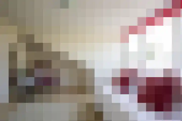 Anna van Hensbeeksingel 377 Gouda thumbnail 50