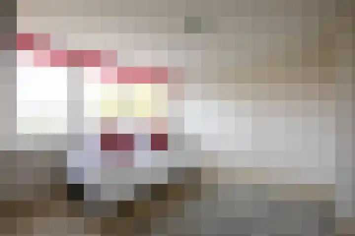Anna van Hensbeeksingel 377 Gouda thumbnail 53
