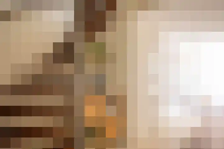 Anna van Hensbeeksingel 377 Gouda thumbnail 6