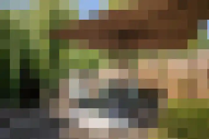 Anna van Hensbeeksingel 377 Gouda thumbnail 61