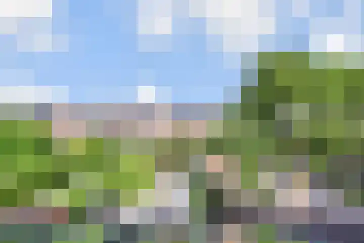 Anna van Hensbeeksingel 397 Gouda thumbnail 33
