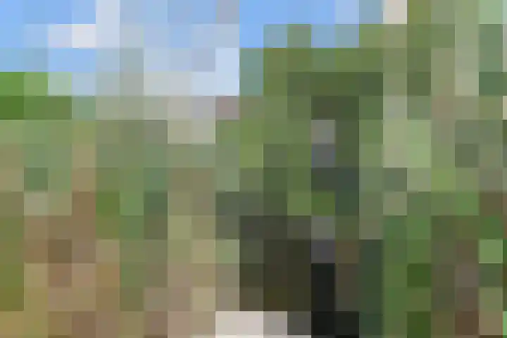 Anna van Hensbeeksingel 397 Gouda thumbnail 36