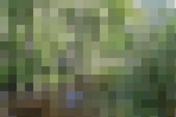 Anna van Hensbeeksingel 397 Gouda thumbnail 37