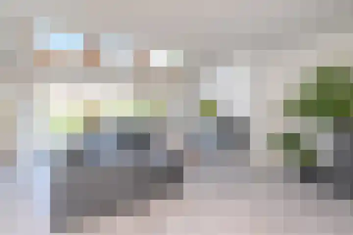 Anna van Hensbeeksingel 397 Gouda thumbnail 4