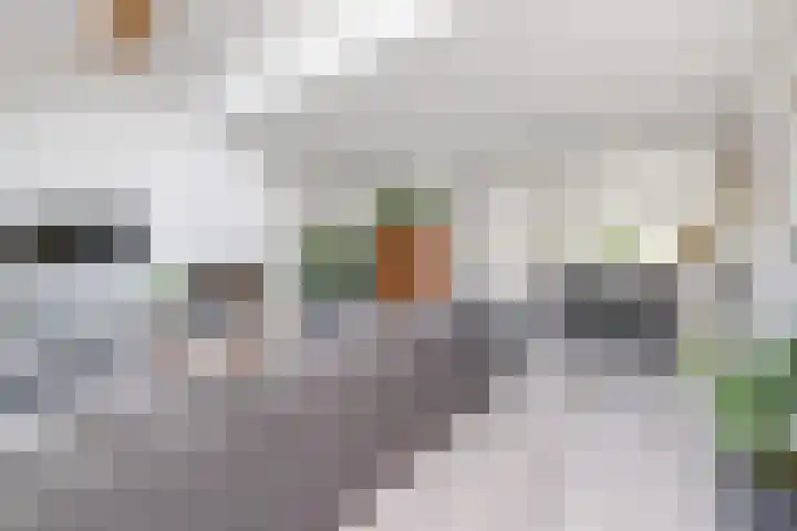 Anna van Hensbeeksingel 397 Gouda thumbnail 5