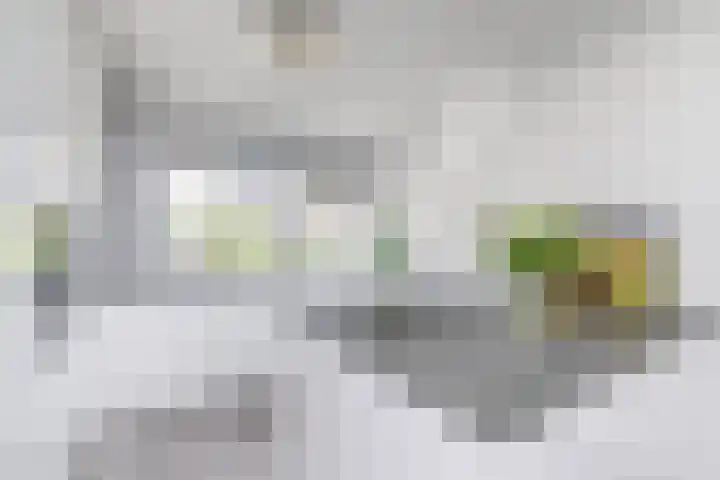 Anna van Hensbeeksingel 397 Gouda thumbnail 7