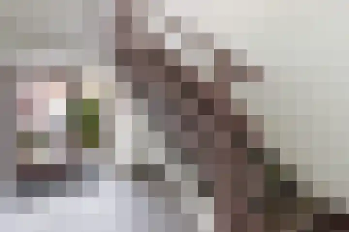 Anna van Hensbeeksingel 48 Gouda thumbnail 8