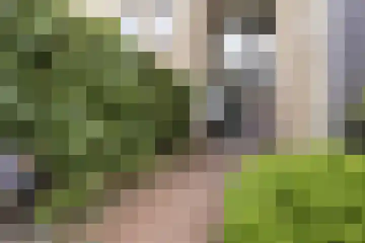 Anna van Hensbeeksingel 66 Gouda thumbnail 8