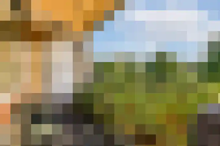 Anna van Hensbeeksingel 67 Gouda thumbnail 5
