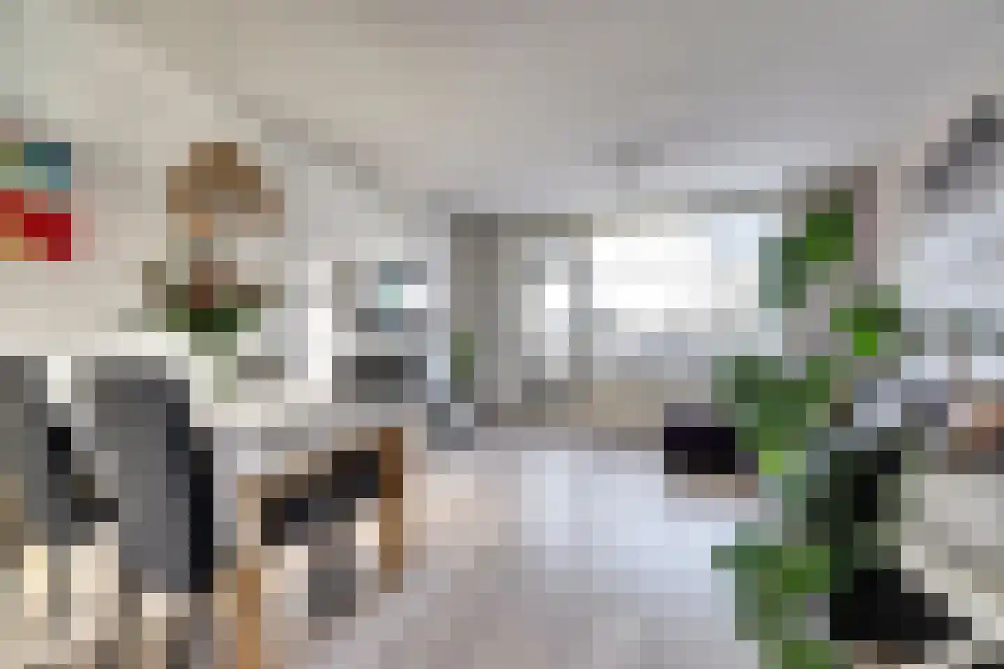 Anna van Hensbeeksingel 77 Gouda thumbnail 12