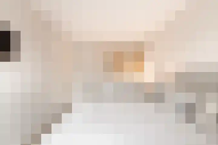 Anna van Kleeflaan 24 Hoofddorp thumbnail 29