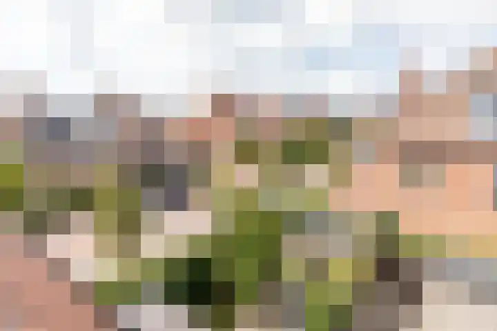 Anna van Kleeflaan 31 Hoofddorp thumbnail 39
