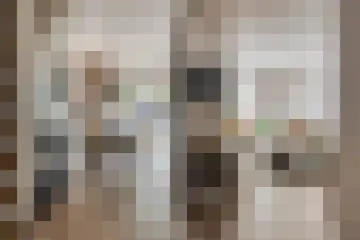 Anna van Lintelolaan 4 Bathmen thumbnail 10