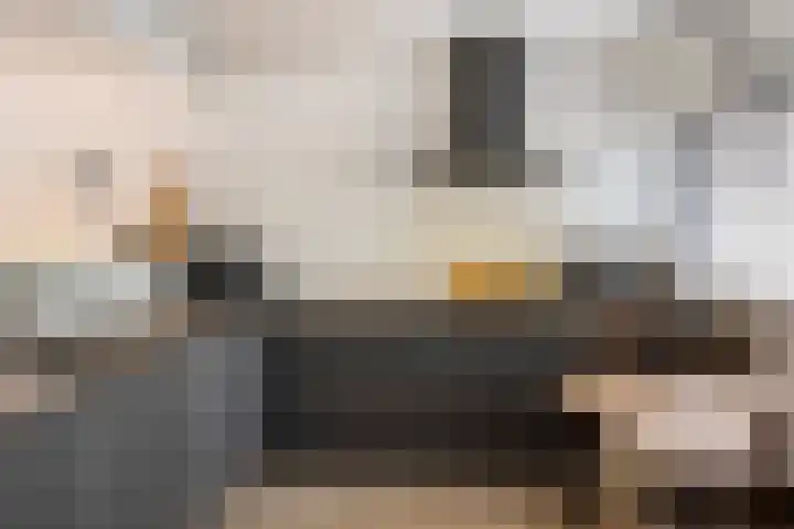 Anna van Lintelolaan 4 Bathmen thumbnail 11