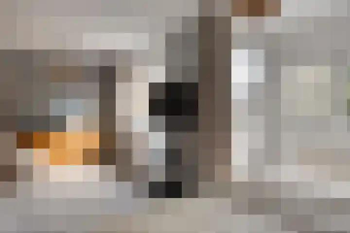Anna van Lintelolaan 4 Bathmen thumbnail 16