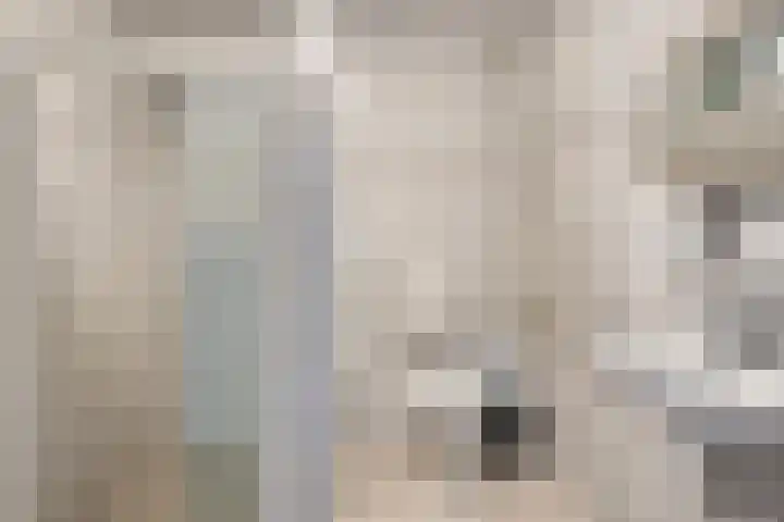 Anna van Lintelolaan 4 Bathmen thumbnail 17