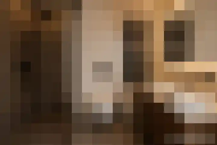 Anna van Lintelolaan 4 Bathmen thumbnail 18