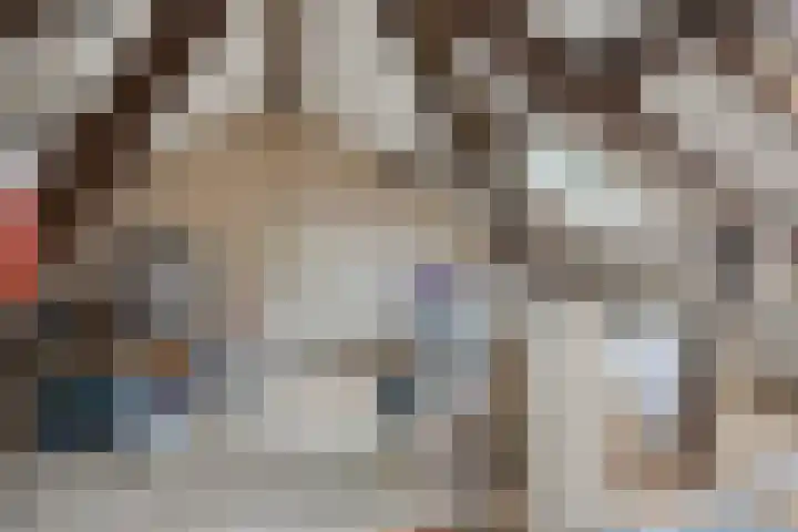 Anna van Lintelolaan 4 Bathmen thumbnail 22