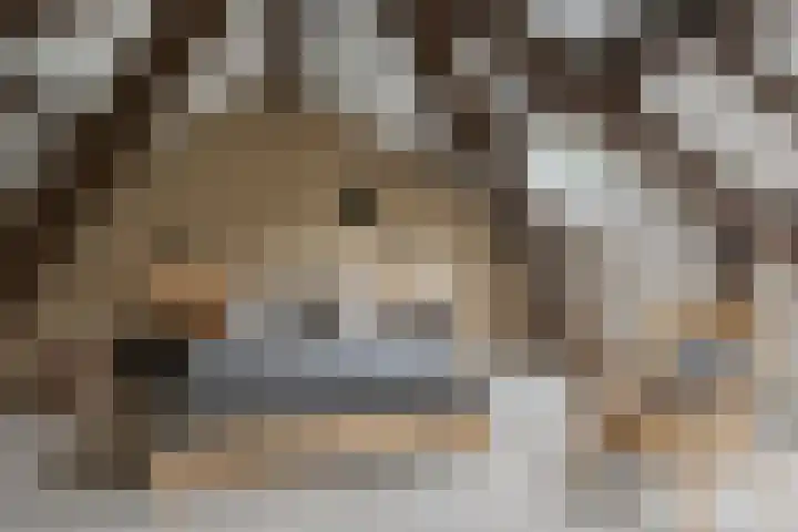 Anna van Lintelolaan 4 Bathmen thumbnail 23